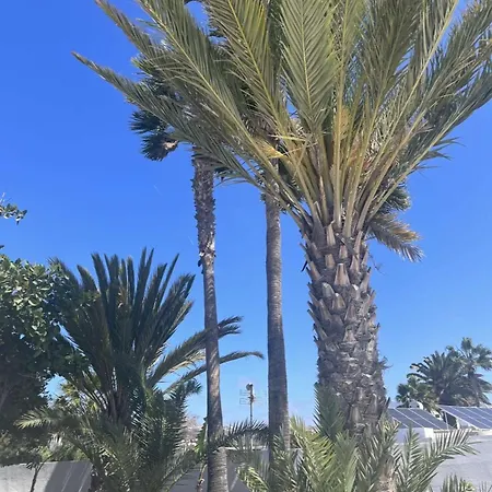 Rosa * Пуэрто дель Кармен