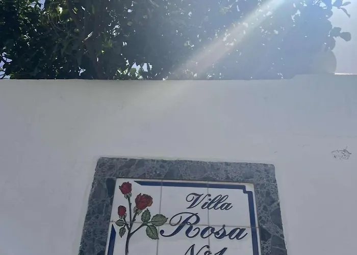 Rosa *